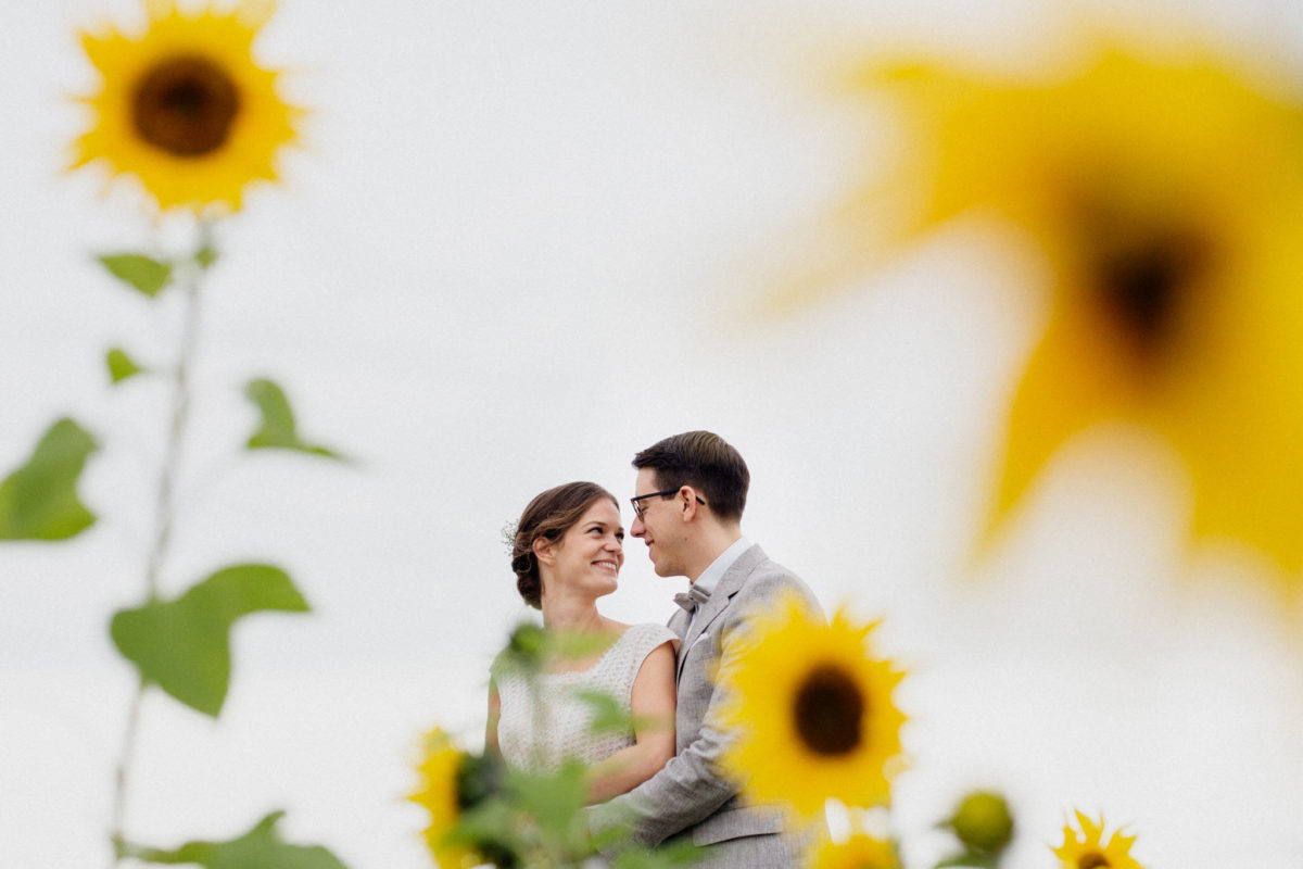 sunflowers wedding photos