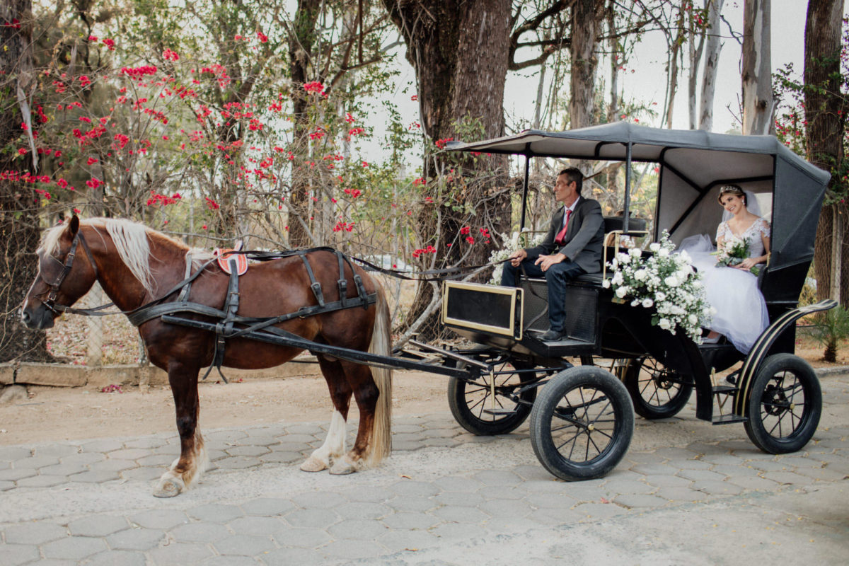 entrada em casamento com carruagem e cavalo