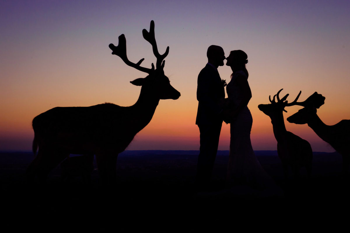 melhores fotos de casamento de 2020