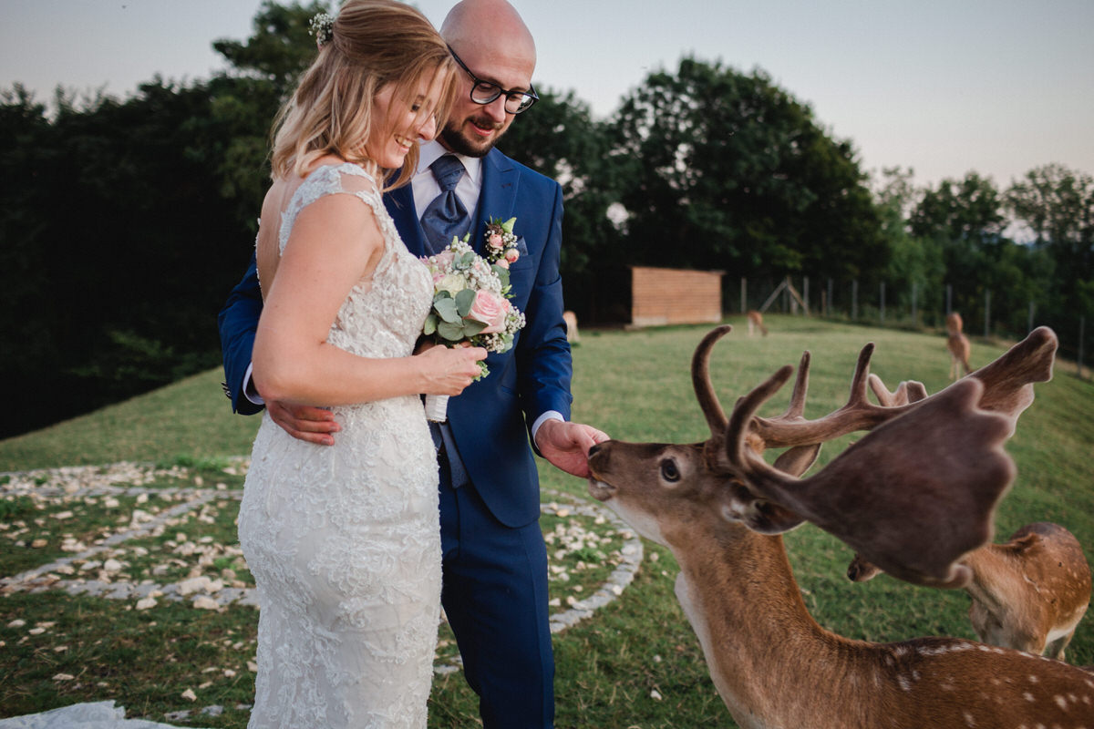 noivos cervo casamento no burg staufeneck